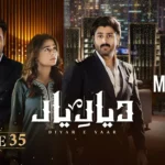Diyar-e-Dil Drama Review