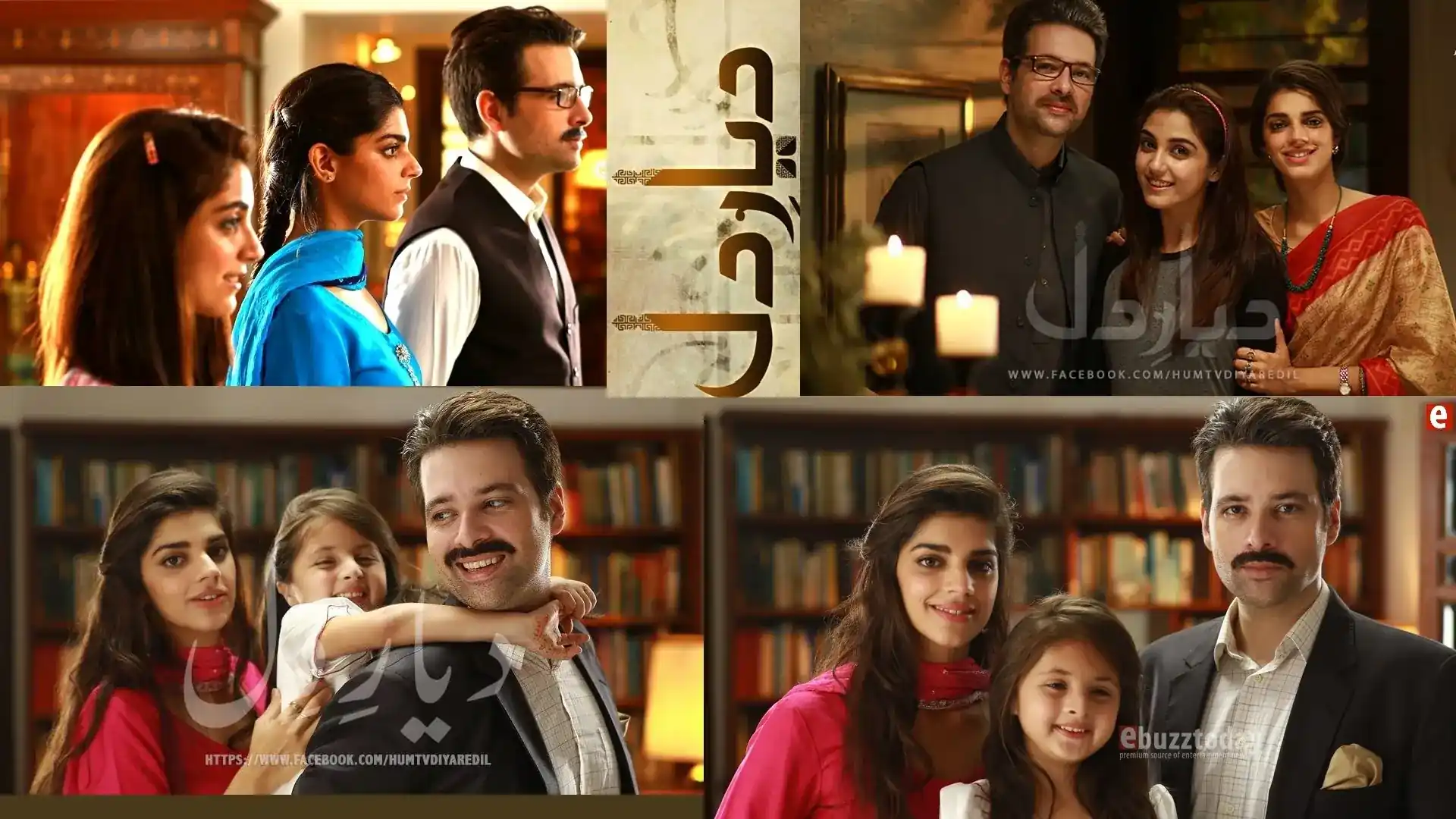 Diyar-e-Dil drama poster featuring full cast members