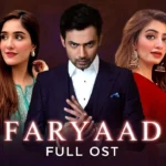 Faryaad Drama Review