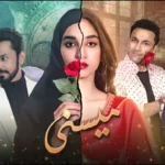 Meesni Drama Review