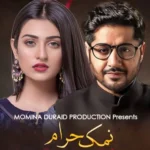 Namak Haram Drama Review