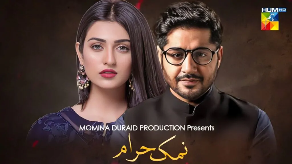 Namak Haram Drama Review