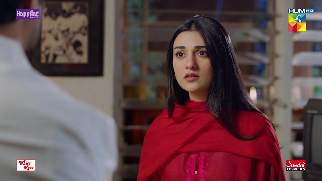 Namak Haram lead actors