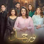 Noor Jahan Drama Review