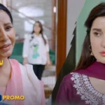 Samjhauta Drama Review