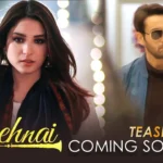 Shehnai Drama Review