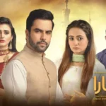 Sun Yaara Drama Review