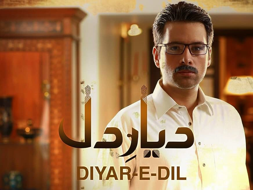 Supporting cast group photo from Diyar-e-Dil drama
