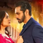 Tere Bin Drama Review