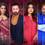 Woh Pagal Si Drama Review
