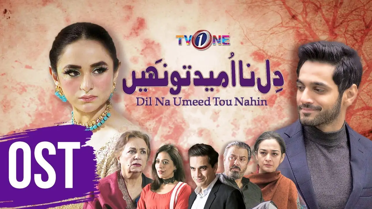 Dil Na Umeed Toh Nahi Drama Review Ost