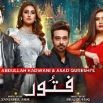 Fitoor Drama Review