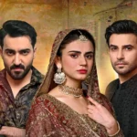 Jhallee Drama Review