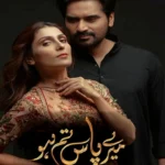 Mere Paas Tum Ho Drama Review
