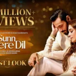 Sunn Mere Dil Drama Review